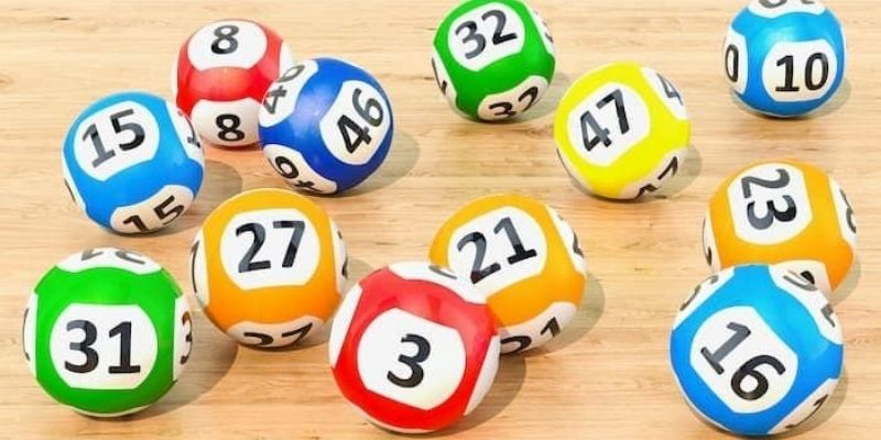 Nuôi Đầu Đuôi Khung 3 Ngày Và Những Phương Pháp Hiệu Quả Nên xuống bao nhiêu tiền với hình thức nuôi đầu đuôi khung trong 3 ngày