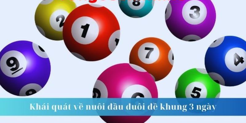 Nuôi Đầu Đuôi Khung 3 Ngày Bất Bại Tuyệt Đối Đặc Biệt Hướng dẫn cách chơi đầu đuôi khung 3 ngày