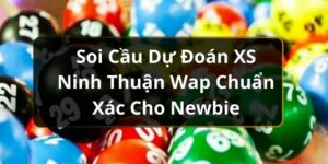 Soi Cầu Dự Đo&aacute;n XS Ninh Thuận Wap Chuẩn X&aacute;c Cho Newbie
