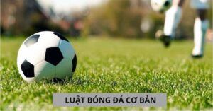 Luật chơi bóng đá cơ bản ngắn gọn mà bạn cần biết ?